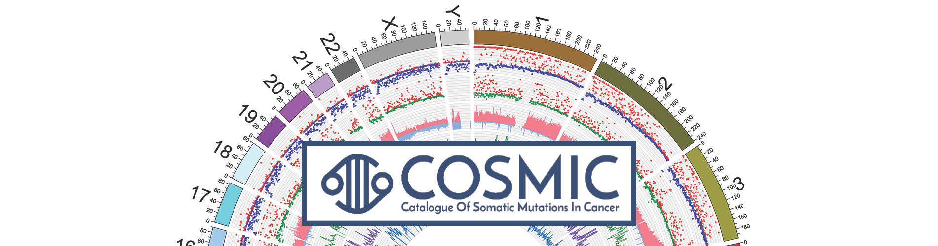 Gentle reminder to transition to COSMIC's new, improved beta download files