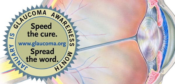 HGMD: an important resource for glaucoma research